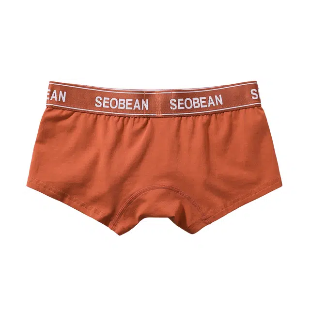 SEOBEAN 1
