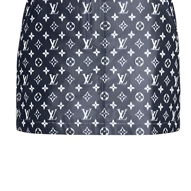 LOUIS VUITTON Monogram