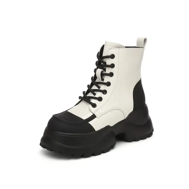 DAPHNE PU 7cm