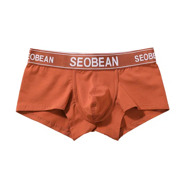 SEOBEAN 1