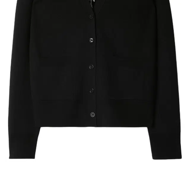 Burberry FW24 V