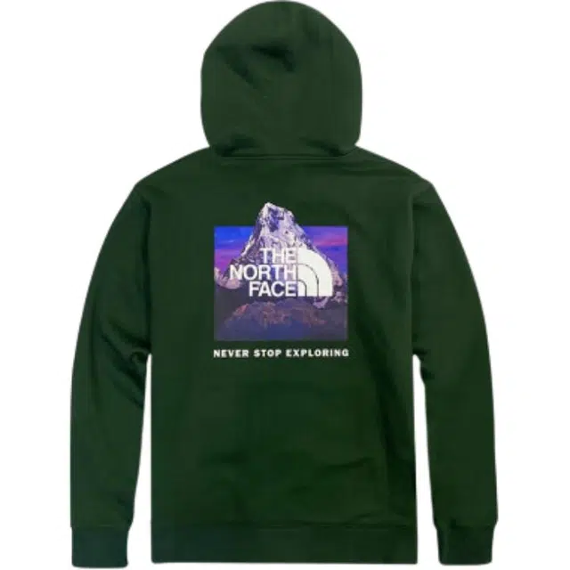 THE NORTH FACE Logo