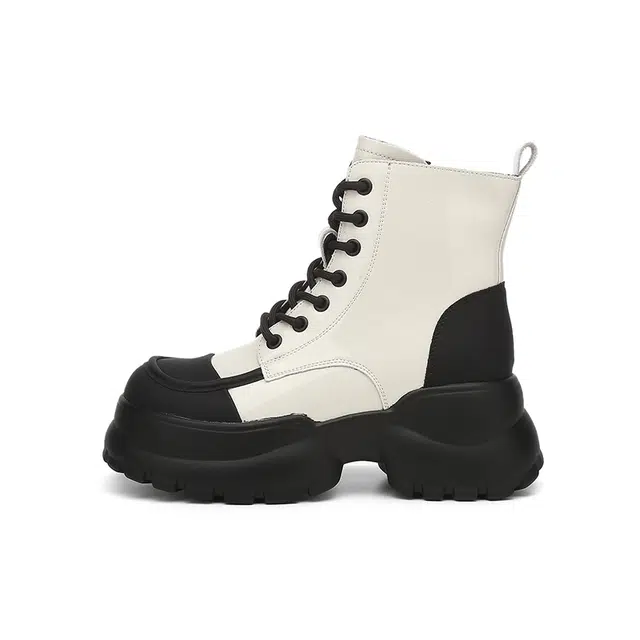 DAPHNE PU 7cm