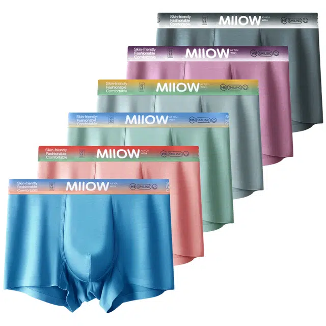MIIOW 6