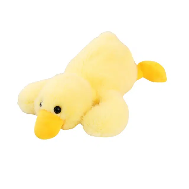 20cm