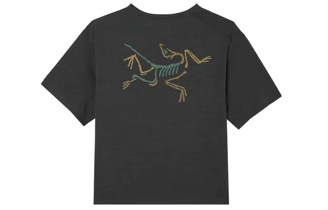 Arcteryx Taema taema crop arclogo LogoT