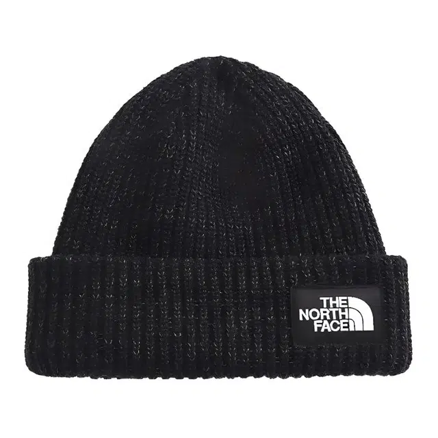 THE NORTH FACE FW21 Salty Dog Beanie 3FJW JK3