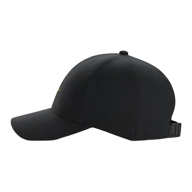 Arcteryx Logo