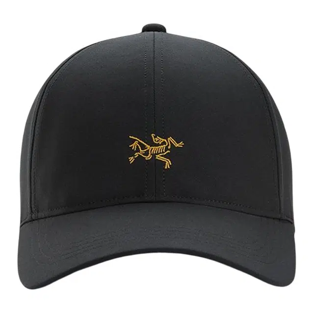 Arcteryx Logo