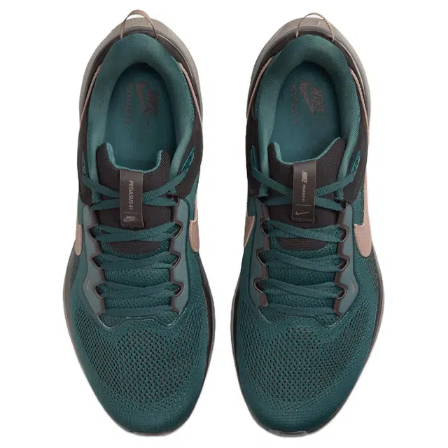 Nike Air Zoom Pegasus 41 SP
