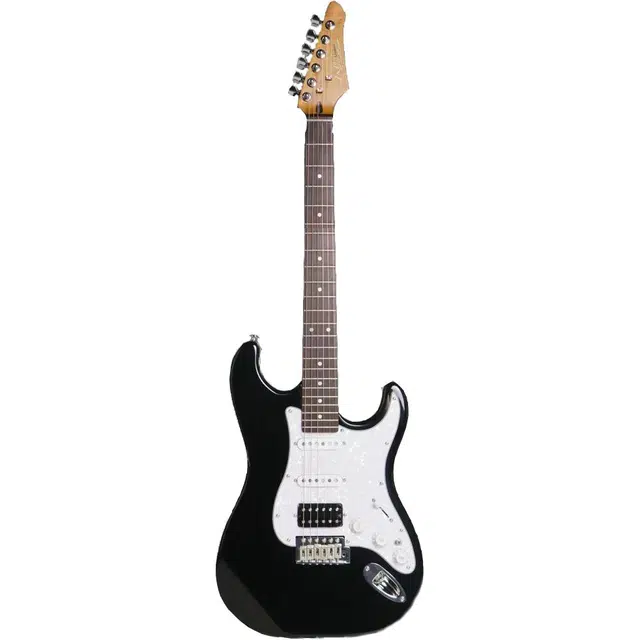 JD GUITARS ST-RM80 22