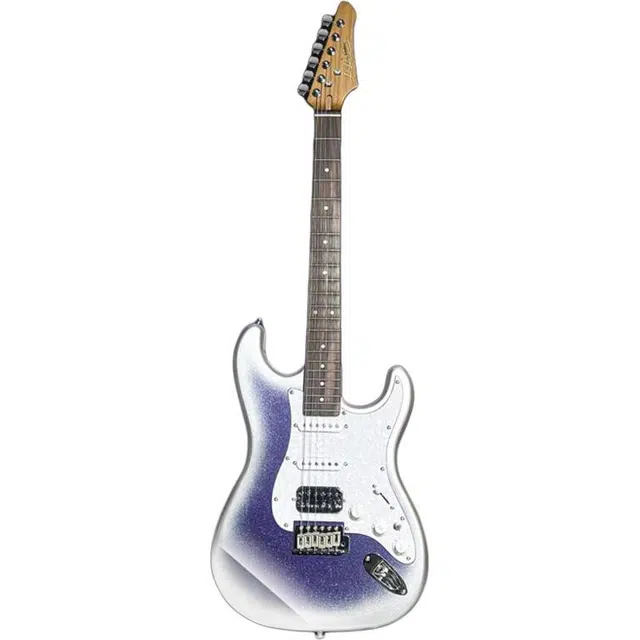 JD GUITARS ST-RM80 22