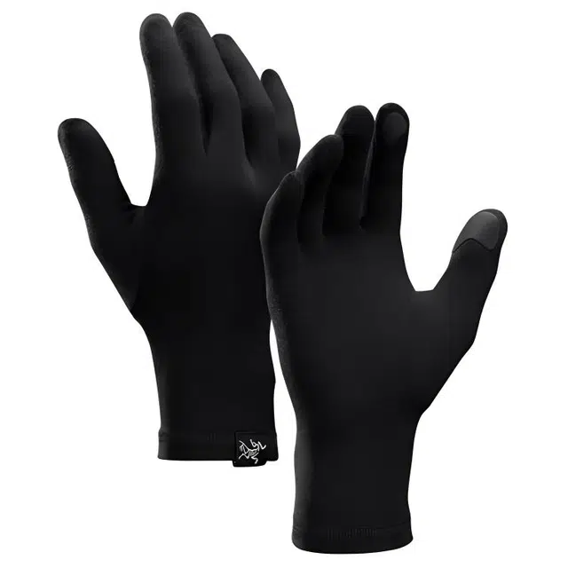 Arcteryx Gothic Glove