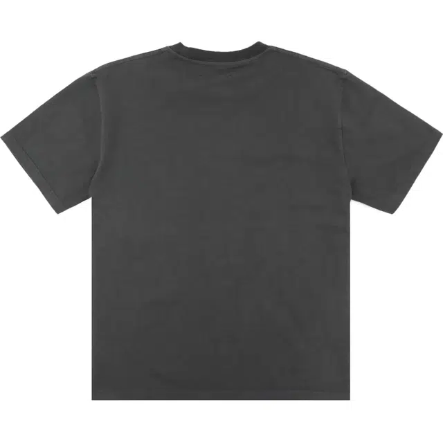 PLEASURES T