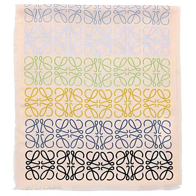 LOEWE Scarf