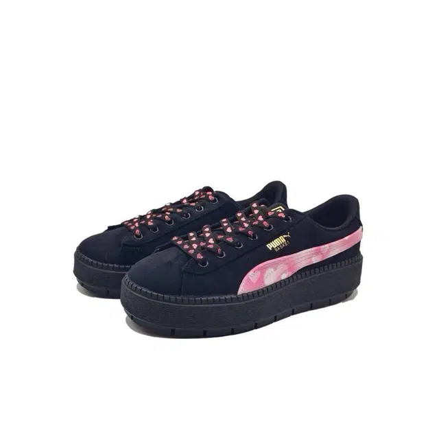 PUMA Platform Trace