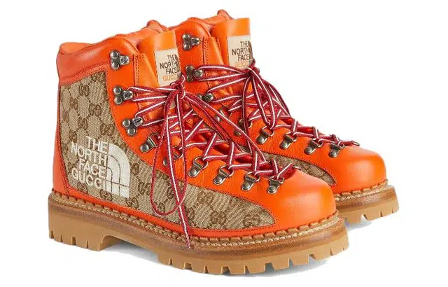 THE NORTH FACE x GUCCI