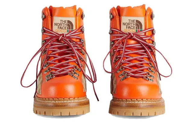 THE NORTH FACE x GUCCI