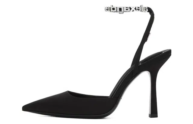 alexander wang Delphine