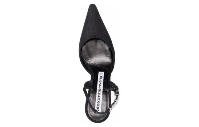 alexander wang
