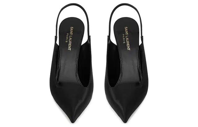 SAINT LAURENT Raven 11cm