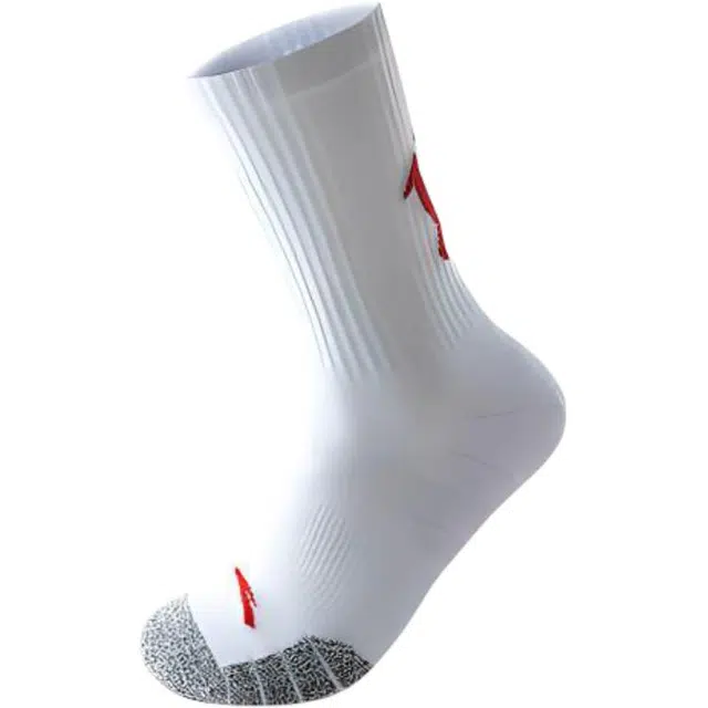 Anta 1