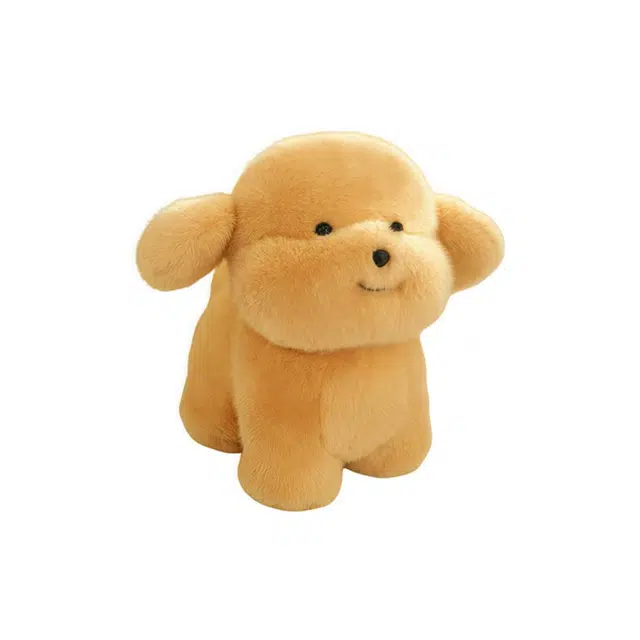 20cm30cm