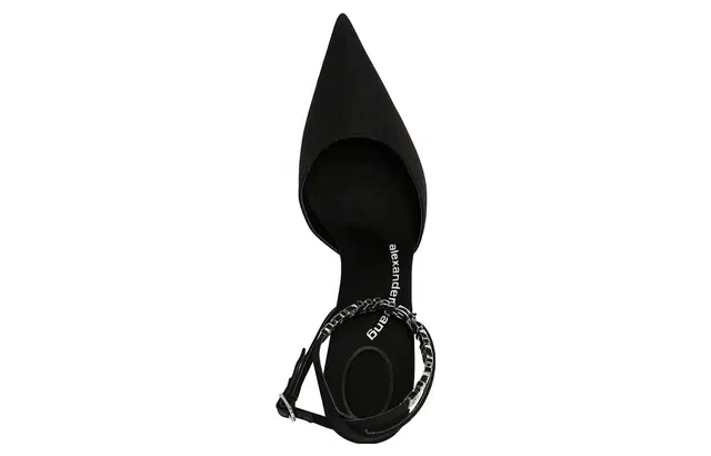 alexander wang Delphine