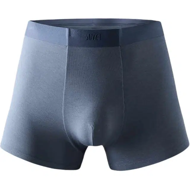 Anta 1
