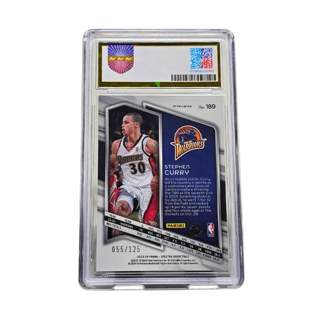 PANINI 055125