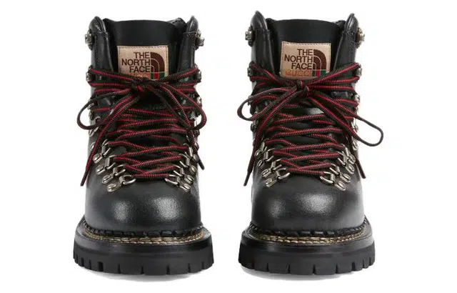 THE NORTH FACE x GUCCI