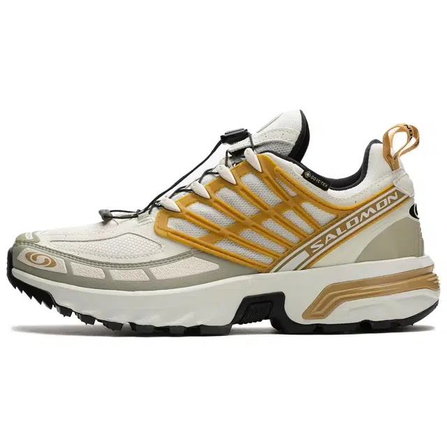 SALOMON ACS PRO GTX