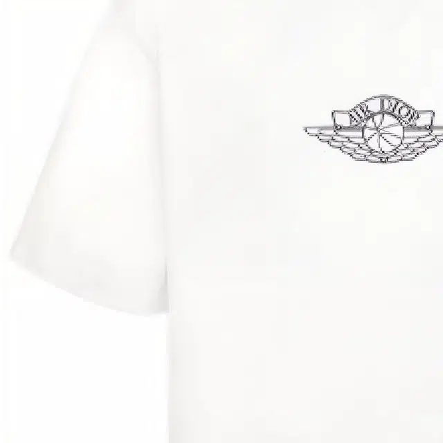 DIOR x jordan T