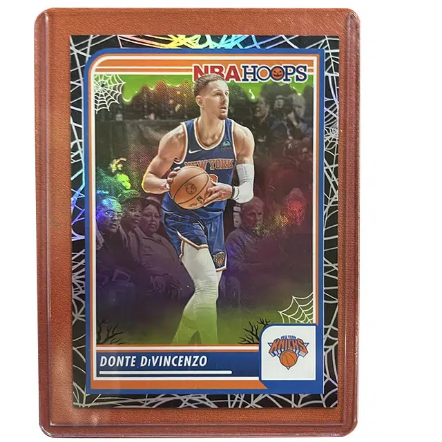 PANINI hoops
