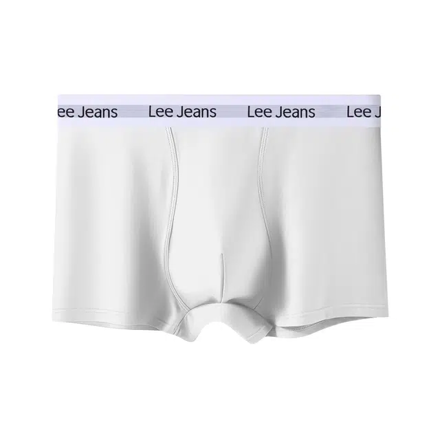 Lee 1