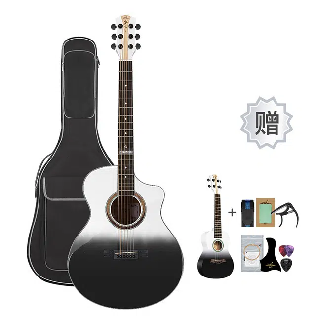 Guitarist GF800 4041