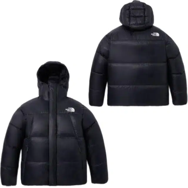 THE NORTH FACE FW23 Eco BARUNTSE DOWN Logo