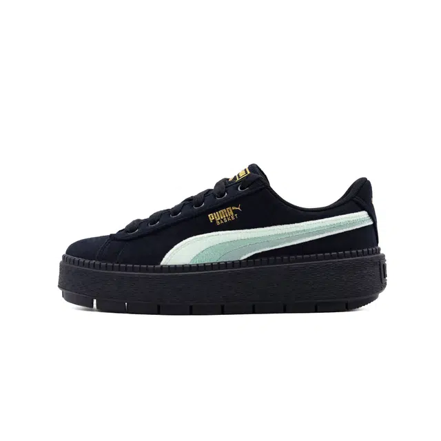 PUMA Platform Trace