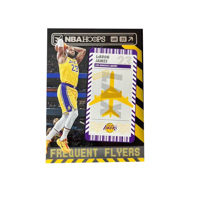 PANINI hoops