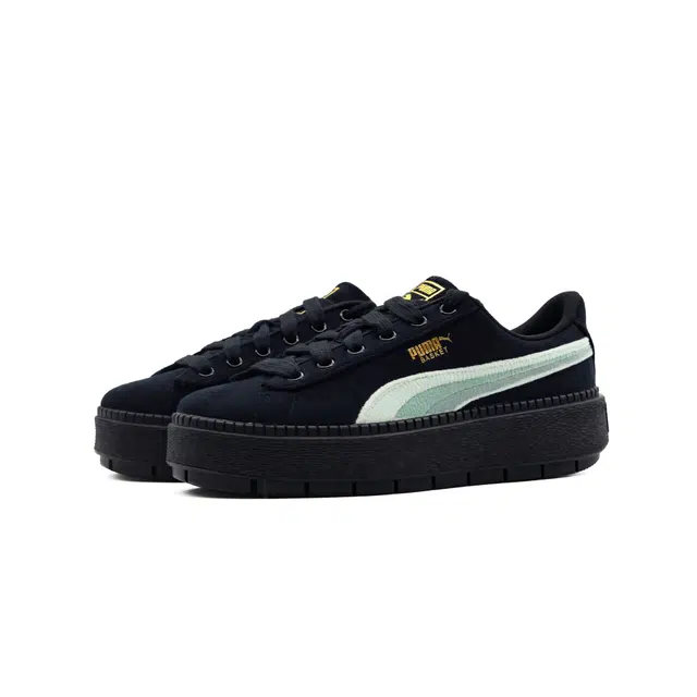 PUMA Platform Trace