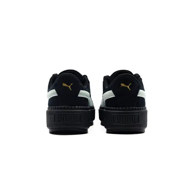 PUMA Platform Trace