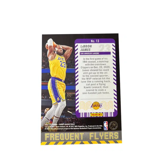 PANINI hoops