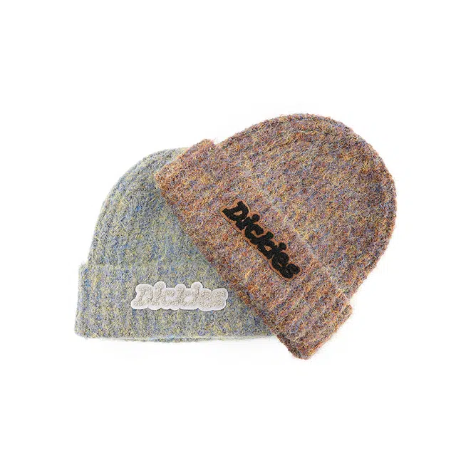 Dickies Beanie