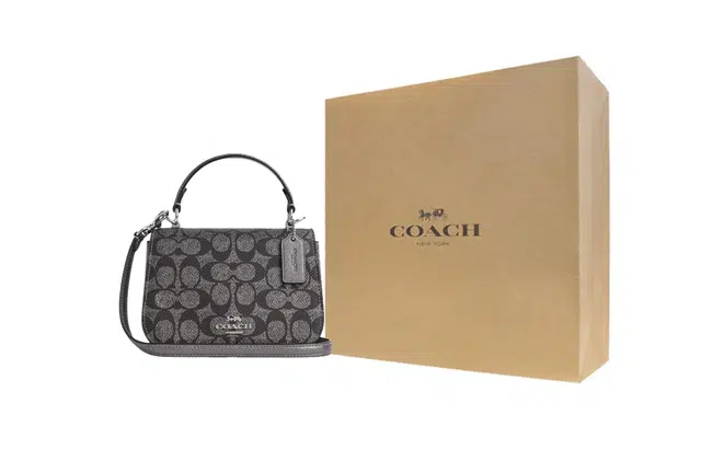 COACH Raisa 18 Silver
