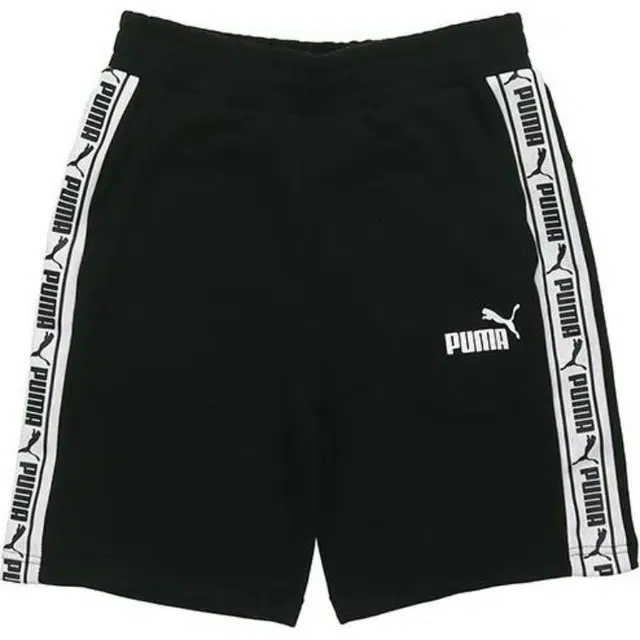 Puma LogoT