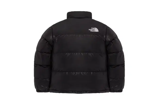 THE NORTH FACE Nuptse 811V