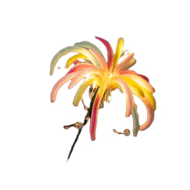 洋娃娃和小熊跳舞 新年发光浪漫烟花扭扭 玩具