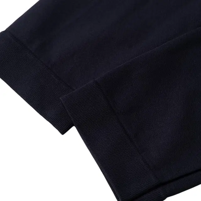 MaxMara FW24 BASILEA Logo