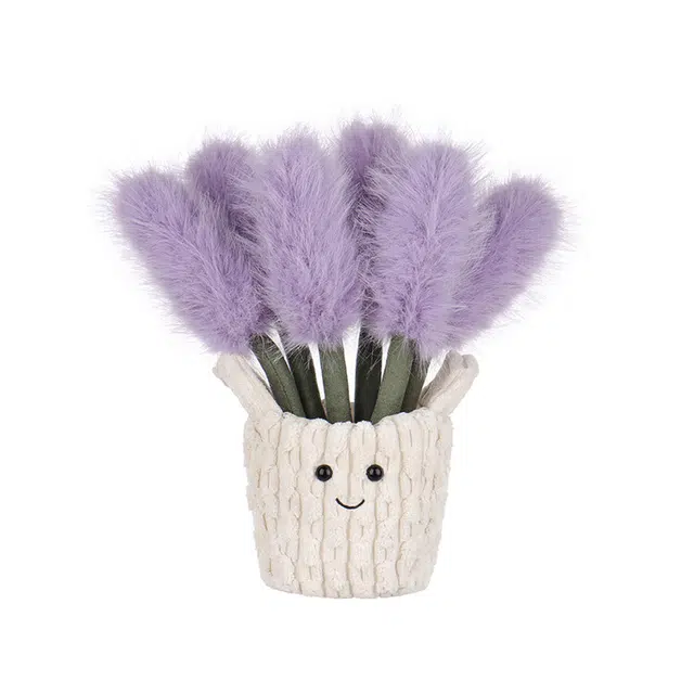 APRICOT LAMB 26cm