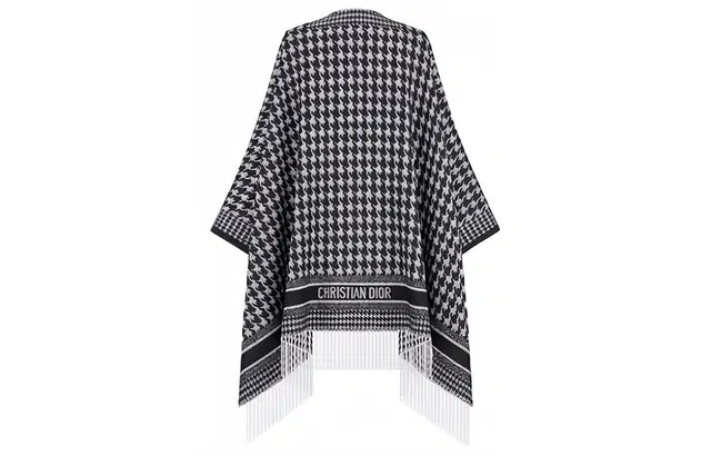 DIOR FW22